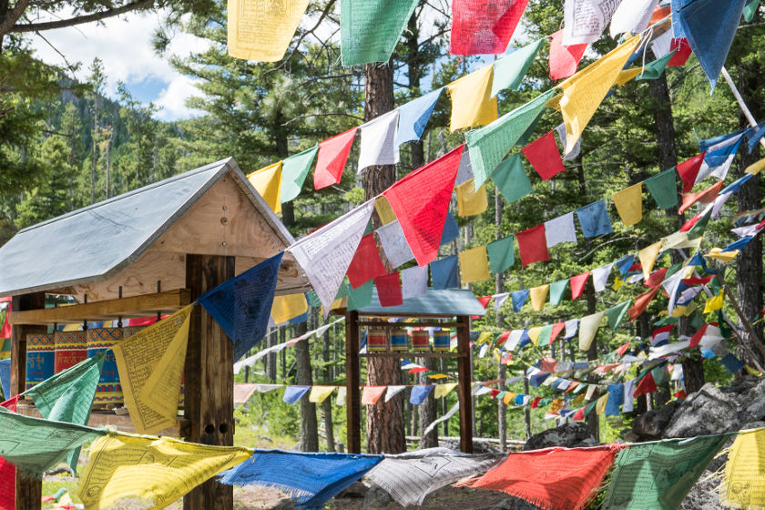 Doubling Down on Compassion and Kindness - Anne Jablonski